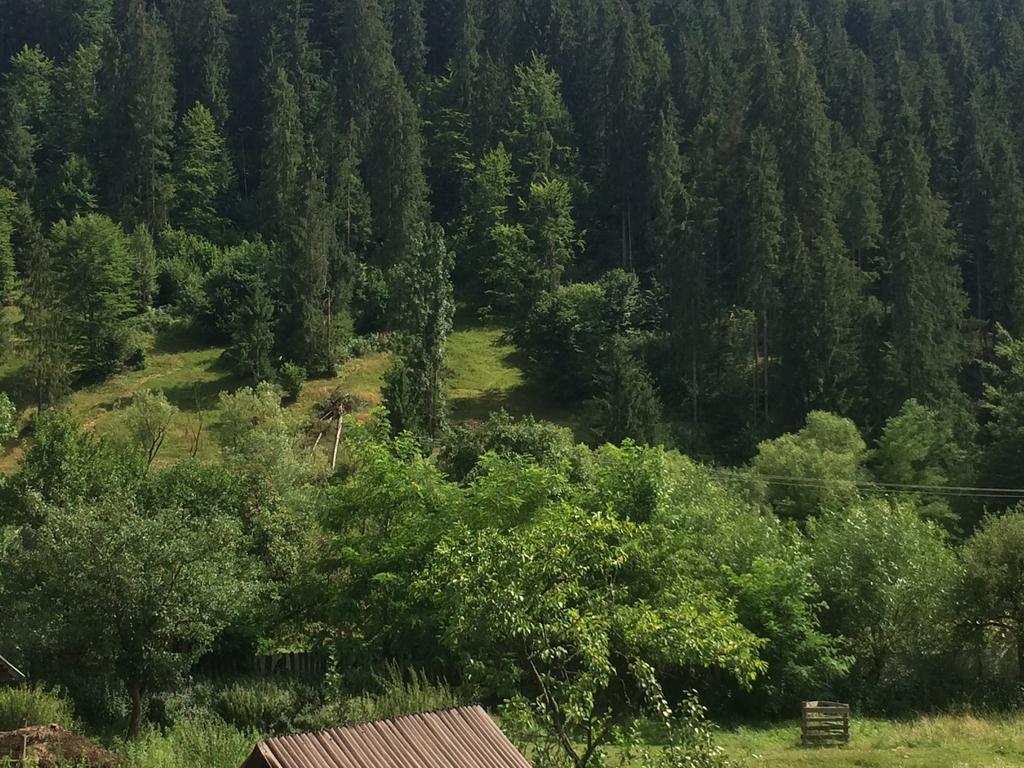 Casa De Vacanta Joldes Hotel Gîrda de Sus Стая снимка