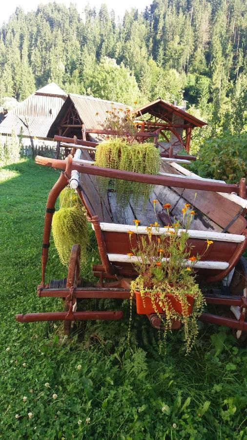 Casa De Vacanta Joldes Hotel Gîrda de Sus Екстериор снимка